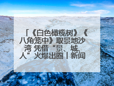 《白色橄榄树》《八角笼中》取景地沙湾 凭借“景、城、人”火爆出圈丨新闻发布最前线