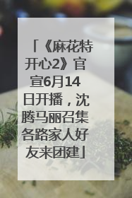 《麻花特开心2》官宣6月14日开播，沈腾马丽召集各路家人好友来团建