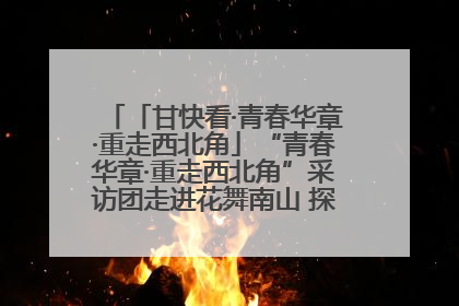 「甘快看·青春华章·重走西北角」“青春华章·重走西北角”采访团走进花舞南山 探寻天水乡村振兴之路