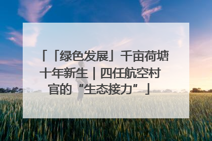 「绿色发展」千亩荷塘 十年新生｜四任航空村官的“生态接力”