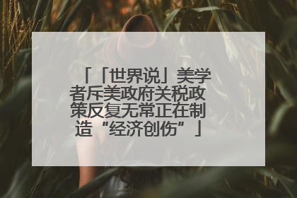 「世界说」美学者斥美政府关税政策反复无常正在制造“经济创伤”