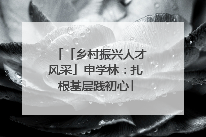 「乡村振兴人才风采」申学林：扎根基层践初心