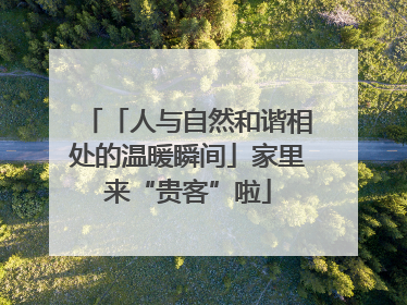 「人与自然和谐相处的温暖瞬间」家里来“贵客”啦