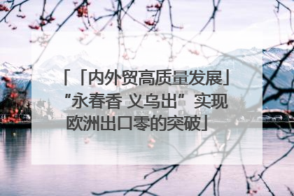 「内外贸高质量发展」“永春香 义乌出”实现欧洲出口零的突破