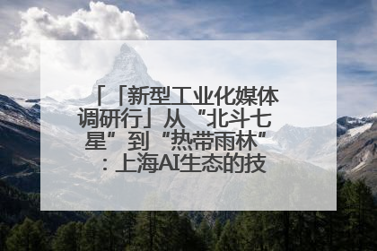 「新型工业化媒体调研行」从“北斗七星”到“热带雨林”：上海AI生态的技术商业共生密码