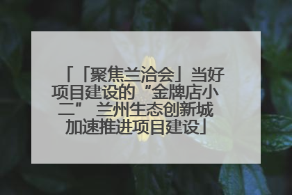 「聚焦兰洽会」当好项目建设的“金牌店小二” 兰州生态创新城加速推进项目建设