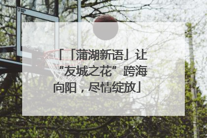 「蒲湖新语」让“友城之花”跨海向阳，尽情绽放