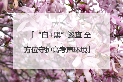 “白+黑”巡查 全方位守护高考声环境