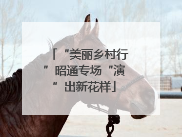 “美丽乡村行”昭通专场“演”出新花样
