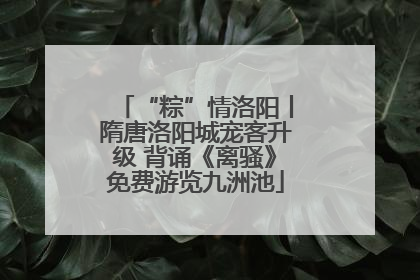 “粽”情洛阳丨隋唐洛阳城宠客升级 背诵《离骚》免费游览九洲池