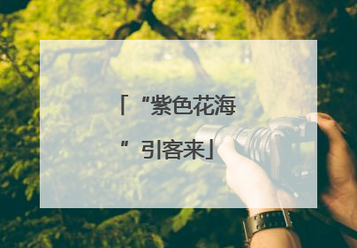 “紫色花海”引客来