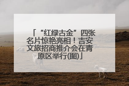 “红绿古金”四张名片惊艳亮相！吉安文旅招商推介会在青原区举行(图)