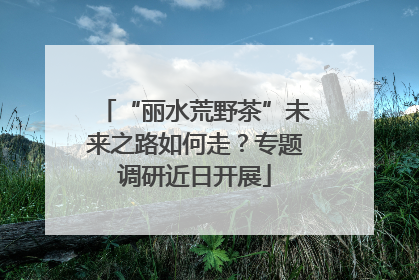 “丽水荒野茶”未来之路如何走？专题调研近日开展