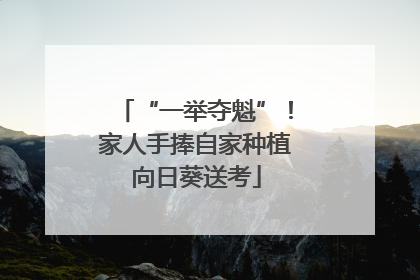 “一举夺魁”！家人手捧自家种植向日葵送考
