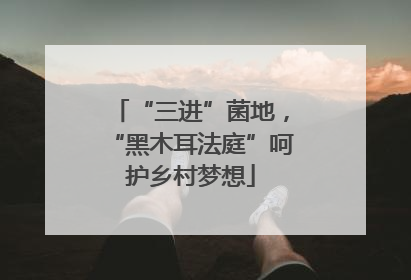 “三进”菌地，“黑木耳法庭”呵护乡村梦想
