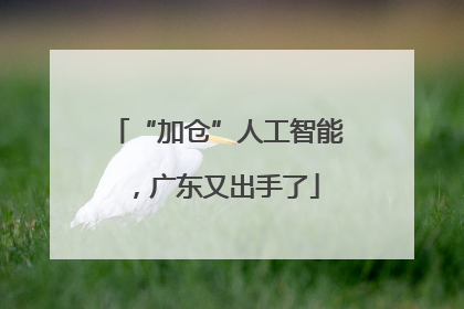 “加仓”人工智能，广东又出手了
