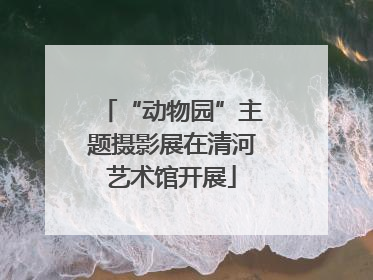 “动物园”主题摄影展在清河艺术馆开展
