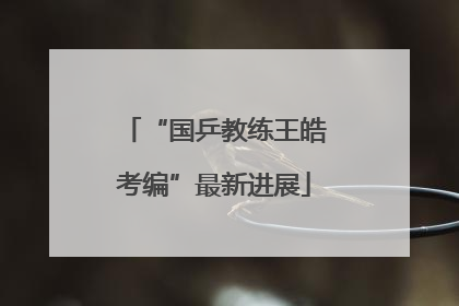 “国乒教练王皓考编”最新进展