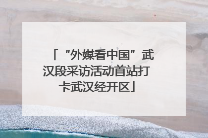 “外媒看中国”武汉段采访活动首站打卡武汉经开区