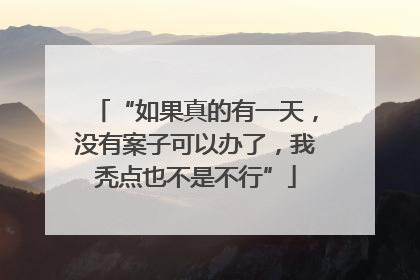 “如果真的有一天，没有案子可以办了，我秃点也不是不行”