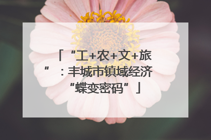 “工+农+文+旅”：丰城市镇域经济“蝶变密码”