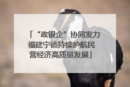 “政银企”协同发力 福建宁德持续护航民营经济高质量发展