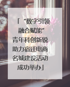 “数字引领 融合赋能”青年科创新锐助力宿迁电商名城建设活动成功举办