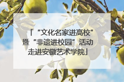 “文化名家进高校”暨“非遗进校园”活动走进安徽艺术学院