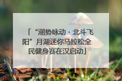 “潮势咏动・北斗飞阳”月湖迷你马拉松全民健身赛在汉启动