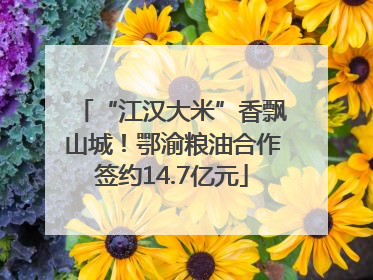 “江汉大米”香飘山城！鄂渝粮油合作签约14.7亿元
