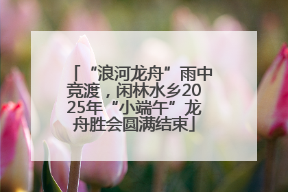 “浪河龙舟”雨中竞渡，闲林水乡2025年“小端午”龙舟胜会圆满结束