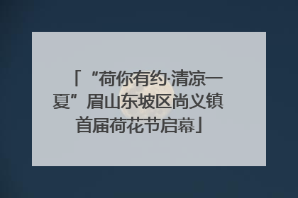 “荷你有约·清凉一夏”眉山东坡区尚义镇首届荷花节启幕