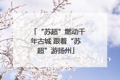 “苏超”燃动千年古城 跟着“苏超”游扬州
