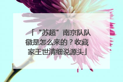 “苏超”南京队队徽是怎么来的？收藏家王世清细说源头