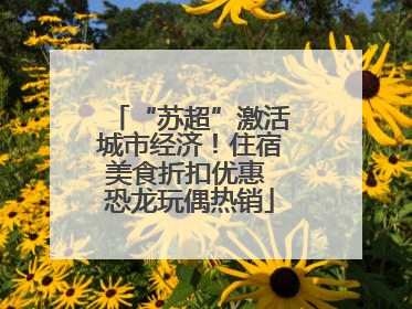 “苏超”激活城市经济！住宿美食折扣优惠 恐龙玩偶热销