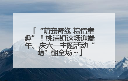 “萌宠奇缘 粽情童趣”！桃浦镇这场迎端午、庆六一主题活动“萌”翻全场～
