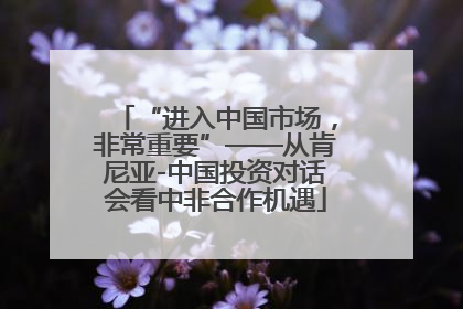 “进入中国市场，非常重要”——从肯尼亚-中国投资对话会看中非合作机遇