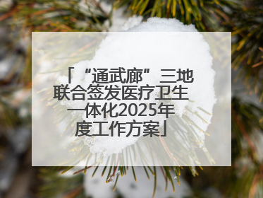 “通武廊”三地联合签发医疗卫生一体化2025年度工作方案