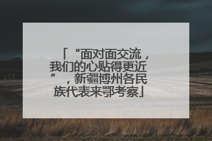 “面对面交流，我们的心贴得更近”，新疆博州各民族代表来鄂考察