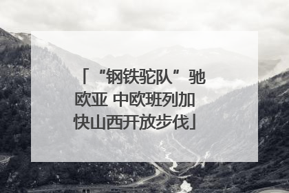 “钢铁驼队”驰欧亚 中欧班列加快山西开放步伐