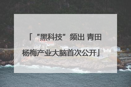 “黑科技”频出 青田杨梅产业大脑首次公开