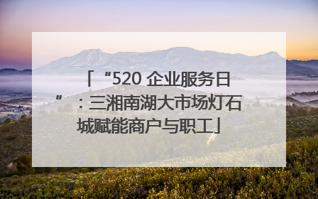 “520 企业服务日”：三湘南湖大市场灯石城赋能商户与职工