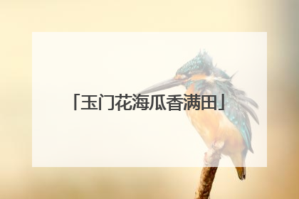 玉门花海瓜香满田