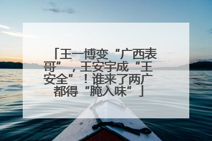 王一博变“广西表哥”，王安宇成“王安全”！谁来了两广都得“腌入味”