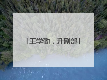 王学勤，升副部
