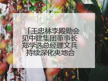 王忠林李殿勋会见中建集团董事长郑学选总经理文兵 持续深化央地合作 协力推动支点建设