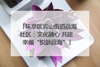 环翠区嵩山街道蔚海社区：文化融心 共建幸福“悦龄蔚海”