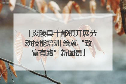 炎陵县十都镇开展劳动技能培训 绘就“致富有路”新图景