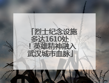 烈士纪念设施多达1610处！英雄精神融入武汉城市血脉