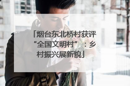 烟台东北桥村获评“全国文明村”：乡村振兴展新貌